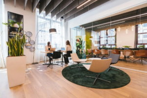 Open space lumineux avec plantes et espaces de travail séparés