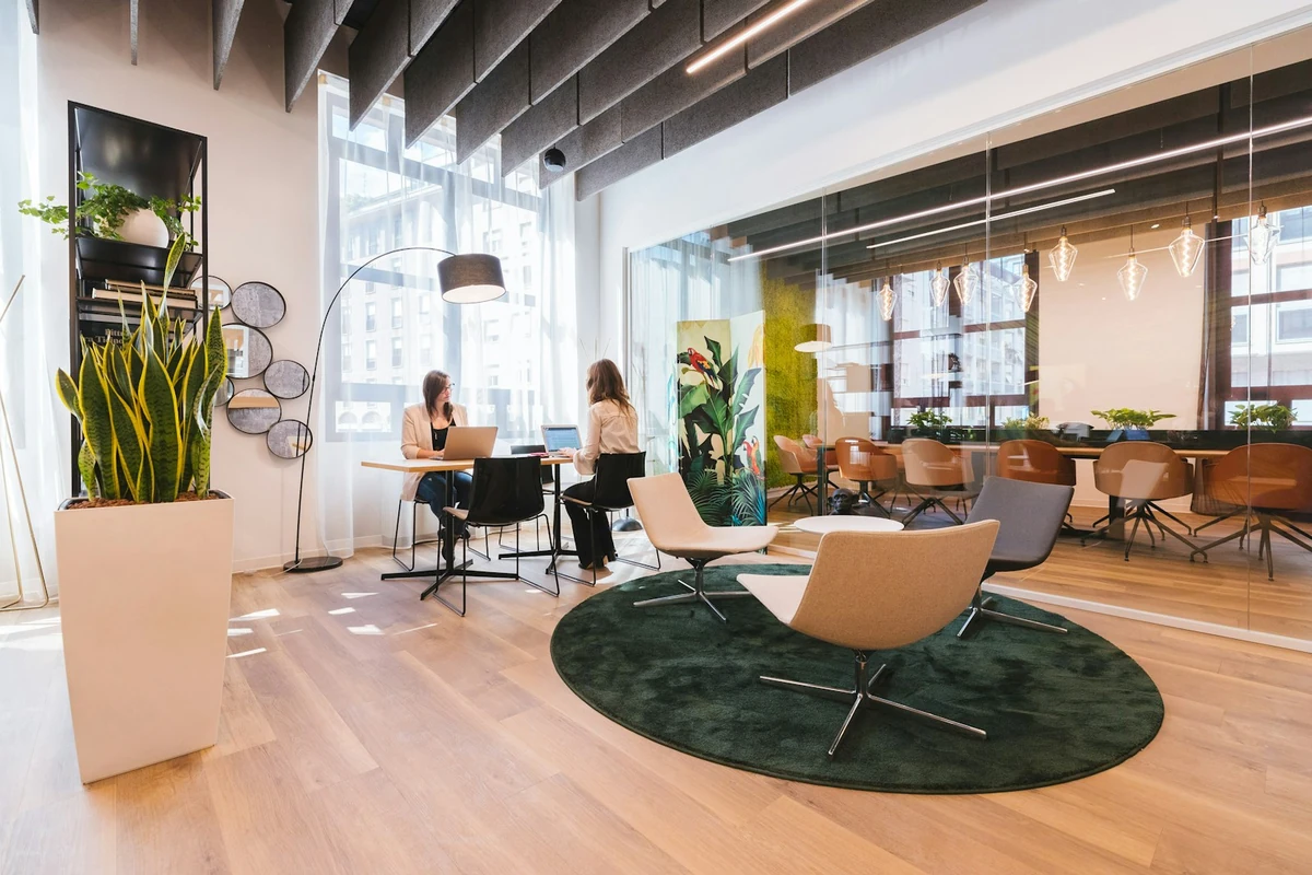 Open space lumineux avec plantes et espaces de travail séparés