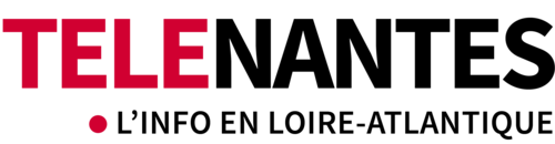 Logo Télénantes